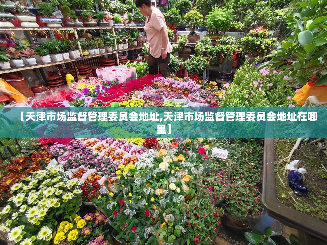 【天津市场监督管理委员会地址,天津市场监督管理委员会地址在哪里】