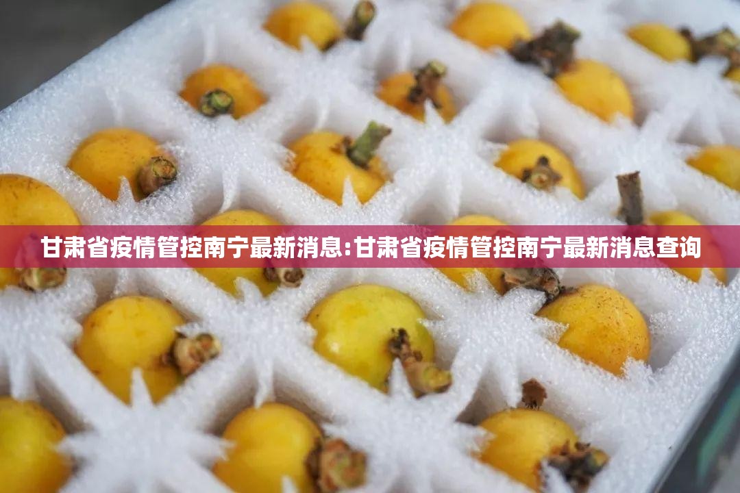 甘肃省疫情管控南宁最新消息:甘肃省疫情管控南宁最新消息查询