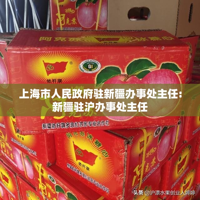 上海市人民政府驻新疆办事处主任:新疆驻沪办事处主任
