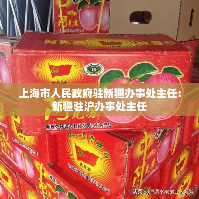 上海市人民政府驻新疆办事处主任:新疆驻沪办事处主任