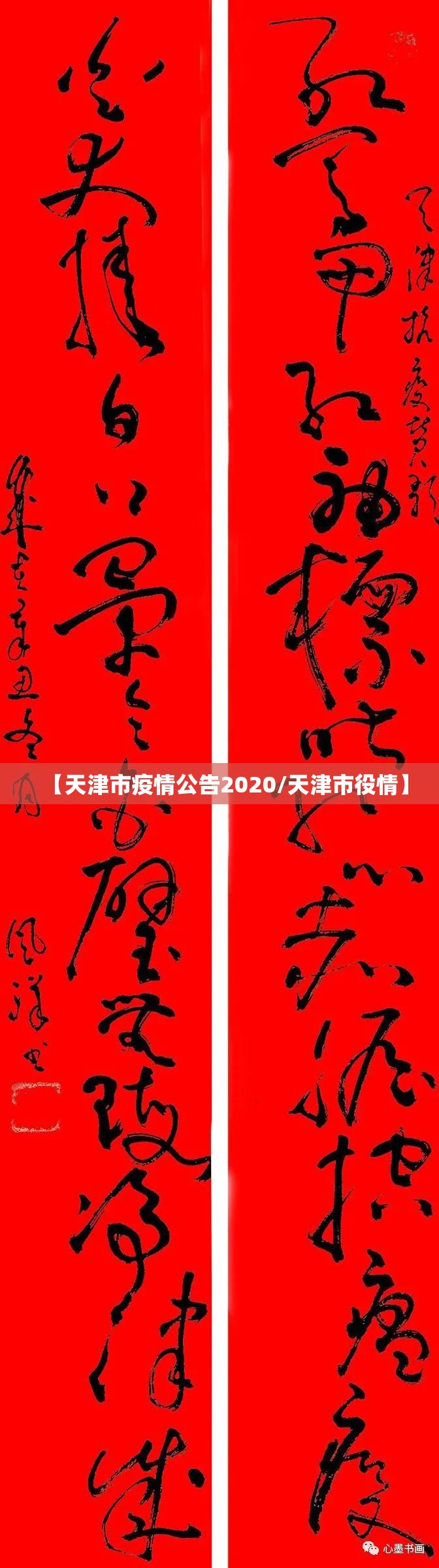 【天津市疫情公告2020/天津市役情】