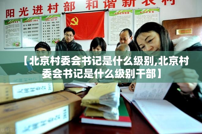 【北京村委会书记是什么级别,北京村委会书记是什么级别干部】
