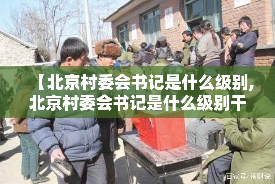 【北京村委会书记是什么级别,北京村委会书记是什么级别干部】