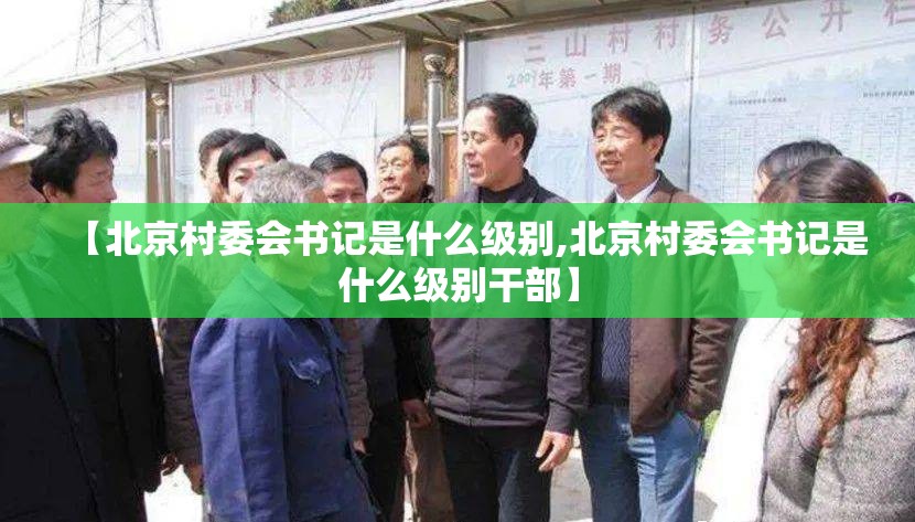 【北京村委会书记是什么级别,北京村委会书记是什么级别干部】