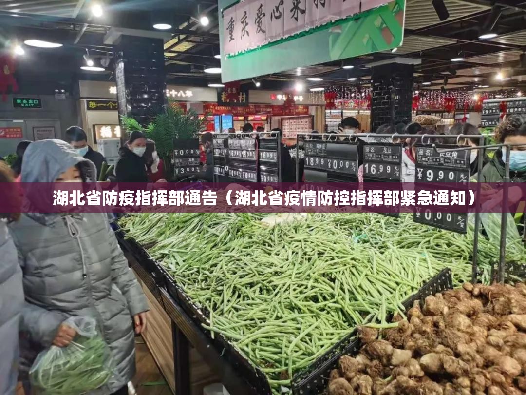 湖北省防疫指挥部通告（湖北省疫情防控指挥部紧急通知）