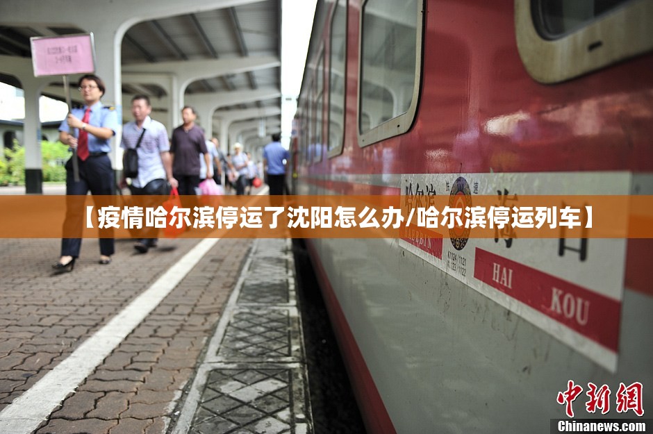 【疫情哈尔滨停运了沈阳怎么办/哈尔滨停运列车】