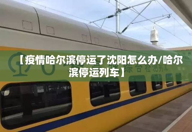 【疫情哈尔滨停运了沈阳怎么办/哈尔滨停运列车】