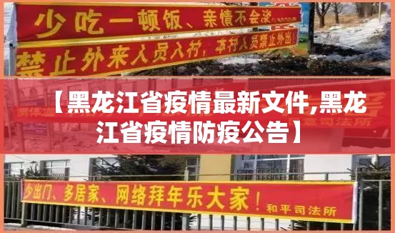【黑龙江省疫情最新文件,黑龙江省疫情防疫公告】