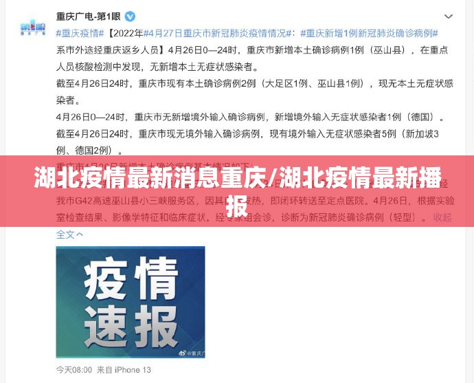 湖北疫情最新消息重庆/湖北疫情最新播报