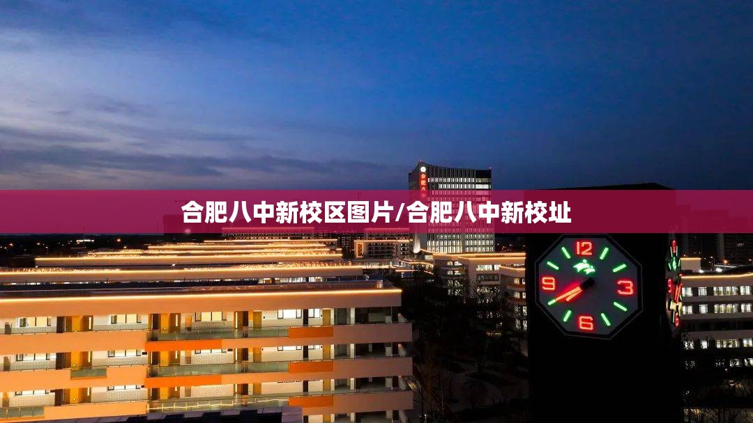 合肥八中新校区图片/合肥八中新校址
