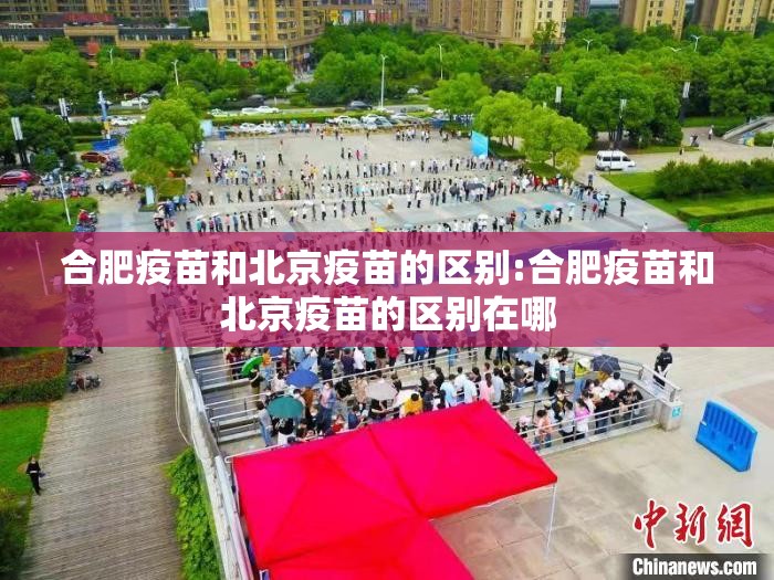合肥疫苗和北京疫苗的区别:合肥疫苗和北京疫苗的区别在哪