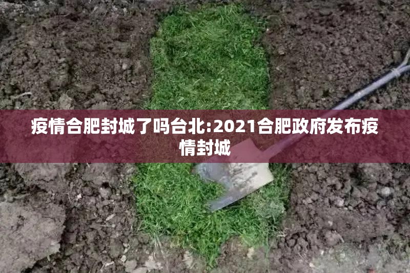 疫情合肥封城了吗台北:2021合肥政府发布疫情封城