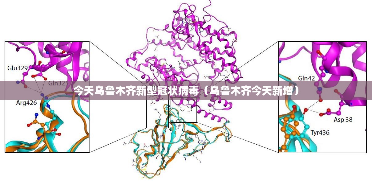 今天乌鲁木齐新型冠状病毒（乌鲁木齐今天新增）