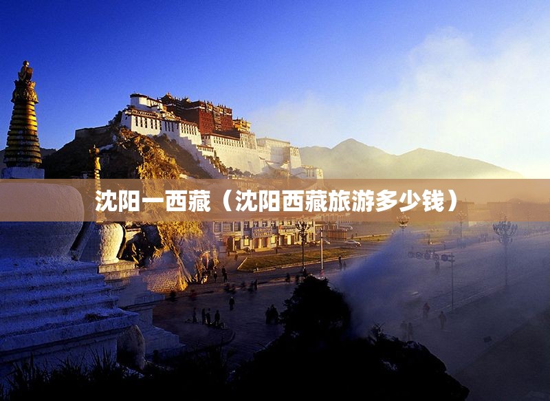 沈阳一西藏（沈阳西藏旅游多少钱）