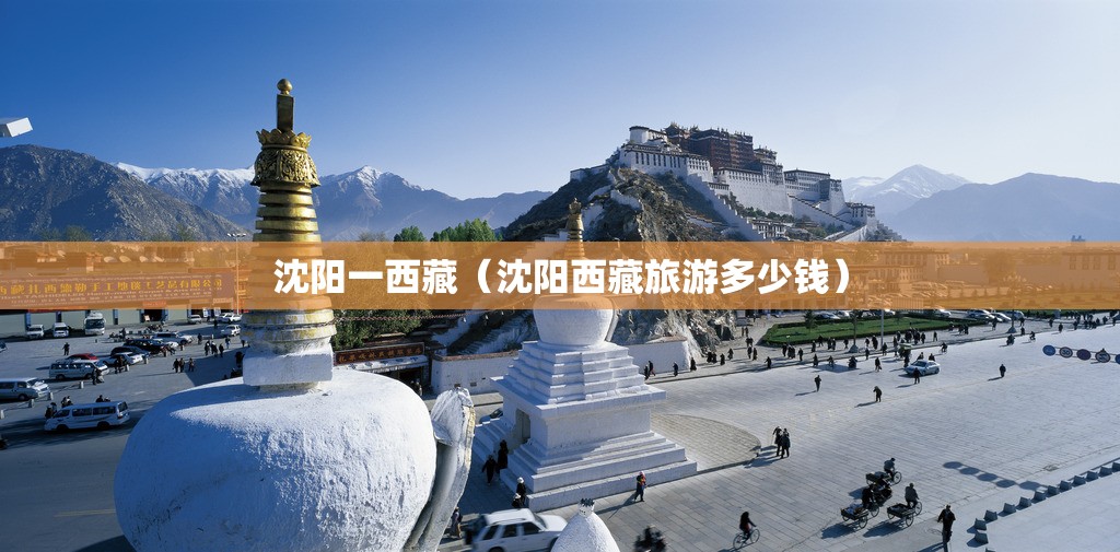 沈阳一西藏（沈阳西藏旅游多少钱）