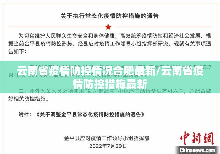 云南省疫情防控情况合肥最新/云南省疫情防控措施最新