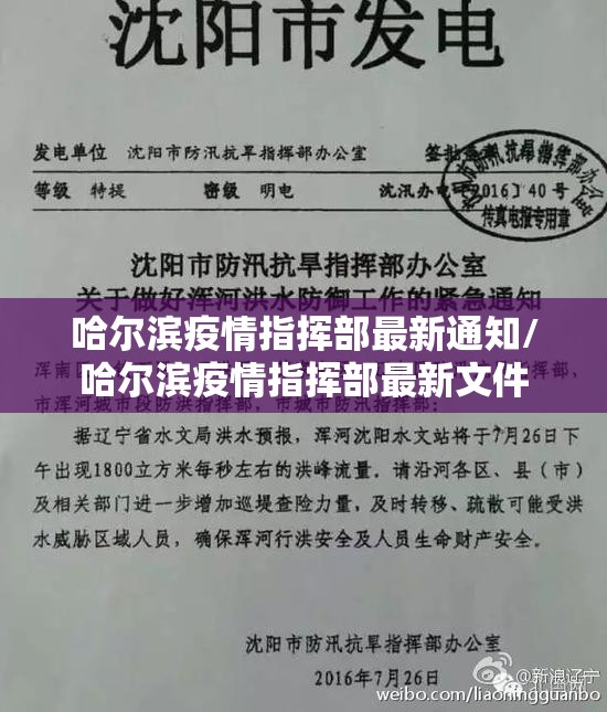 哈尔滨疫情指挥部最新通知/哈尔滨疫情指挥部最新文件