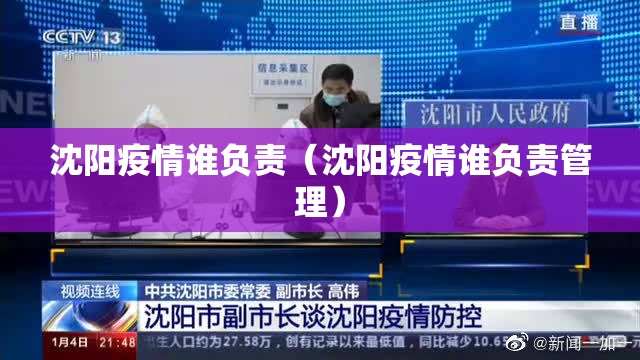 沈阳疫情谁负责（沈阳疫情谁负责管理）