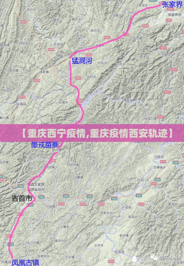 【重庆西宁疫情,重庆疫情西安轨迹】