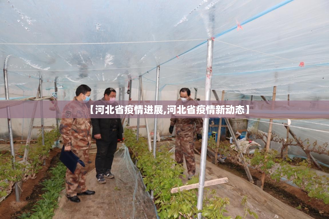 【河北省疫情进展,河北省疫情新动态】