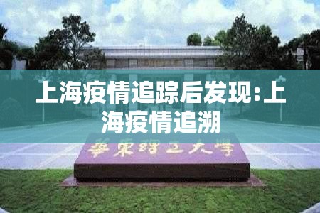 上海疫情追踪后发现:上海疫情追溯