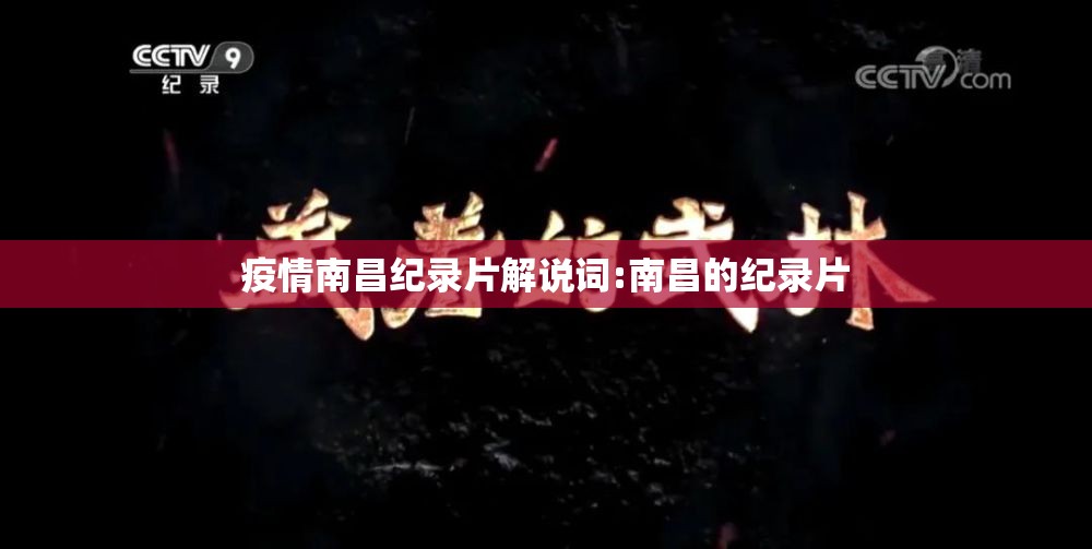 疫情南昌纪录片解说词:南昌的纪录片
