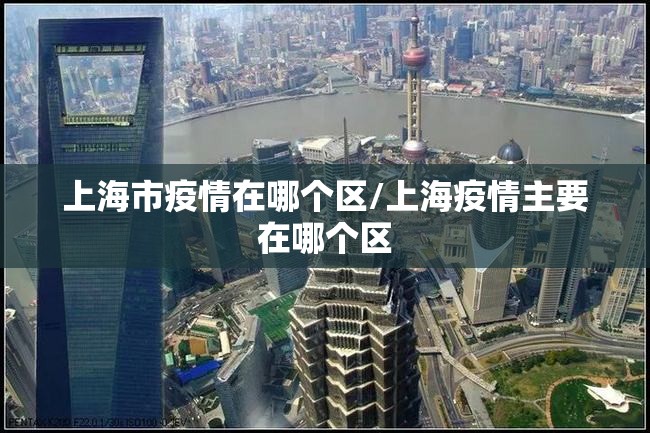 上海市疫情在哪个区/上海疫情主要在哪个区