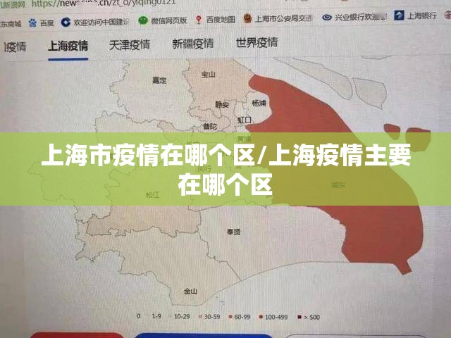 上海市疫情在哪个区/上海疫情主要在哪个区