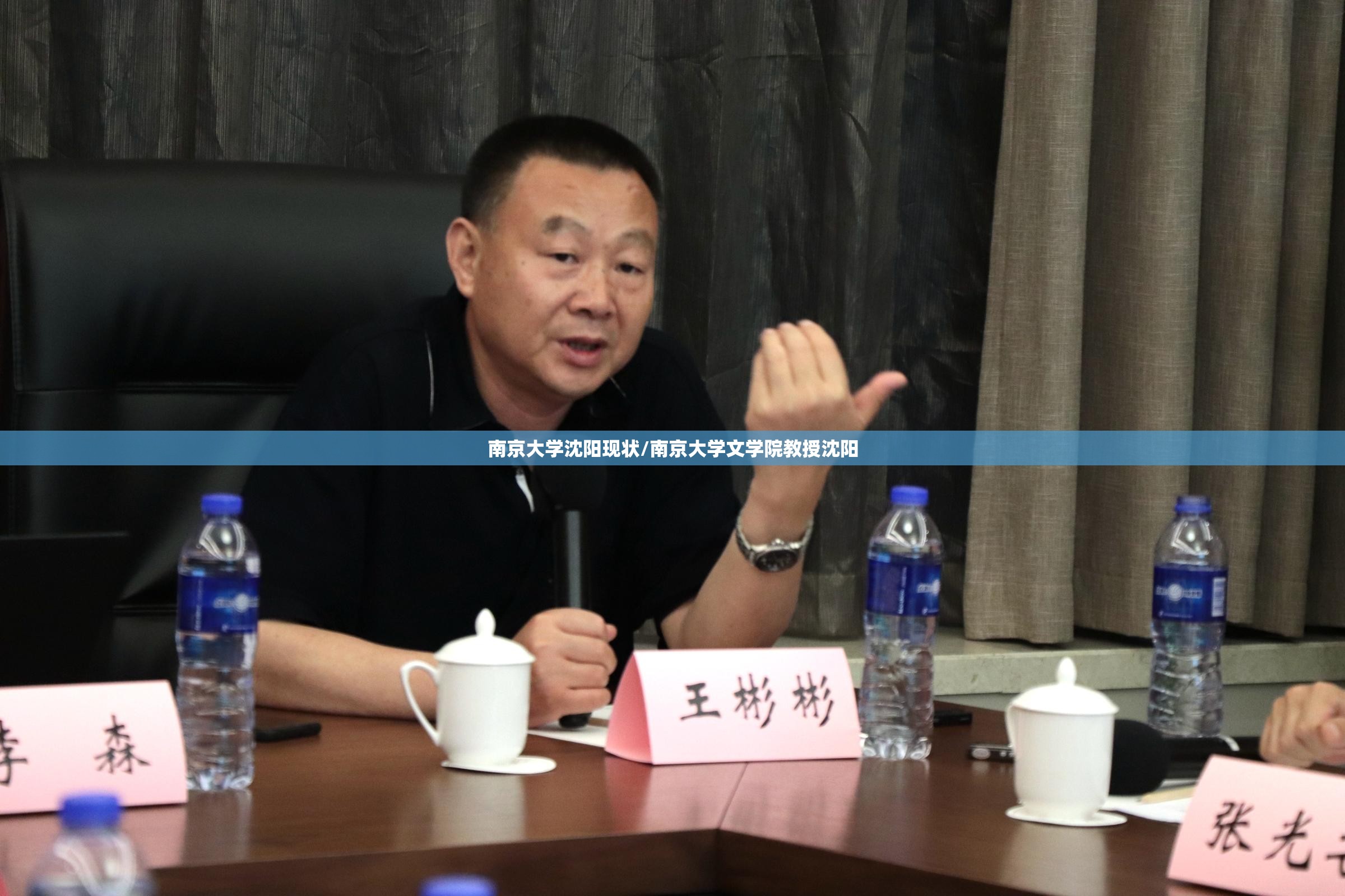 南京大学沈阳现状/南京大学文学院教授沈阳