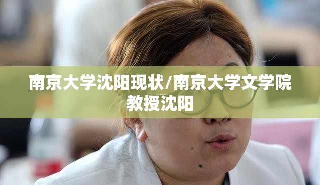 南京大学沈阳现状/南京大学文学院教授沈阳