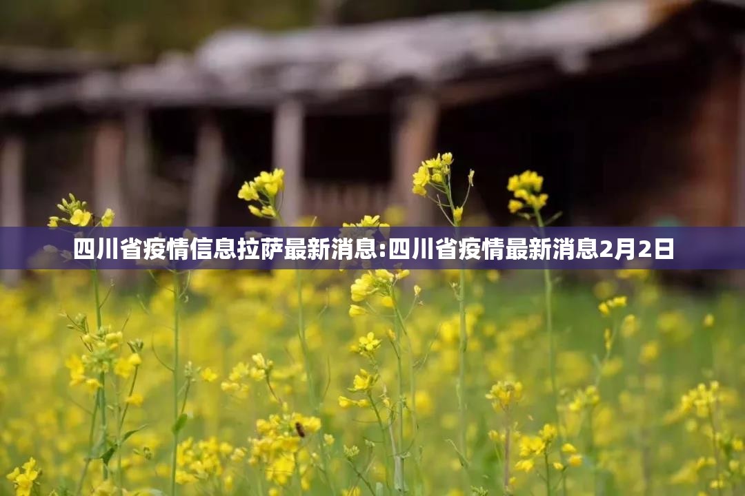 四川省疫情信息拉萨最新消息:四川省疫情最新消息2月2日