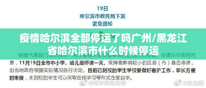 疫情哈尔滨全部停运了吗广州/黑龙江省哈尔滨市什么时候停运