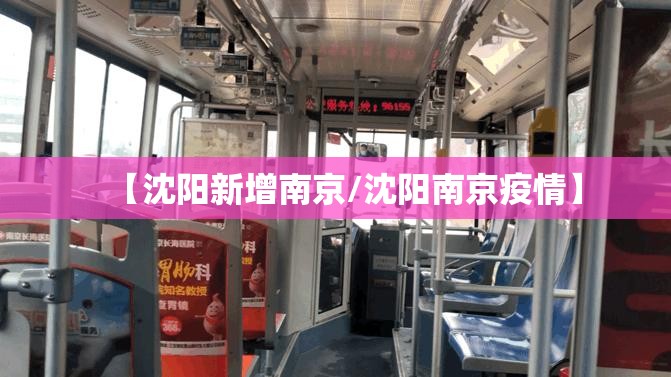 【沈阳新增南京/沈阳南京疫情】