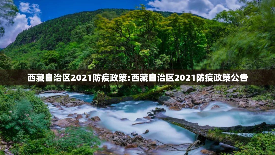 西藏自治区2021防疫政策:西藏自治区2021防疫政策公告