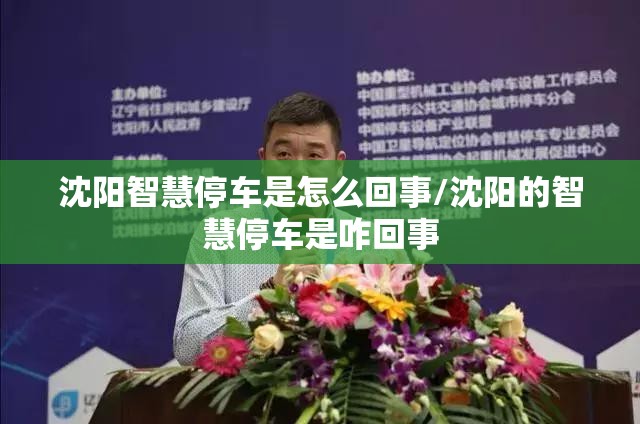 沈阳智慧停车是怎么回事/沈阳的智慧停车是咋回事