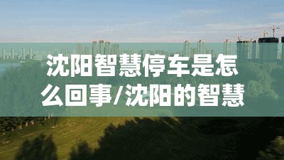 沈阳智慧停车是怎么回事/沈阳的智慧停车是咋回事