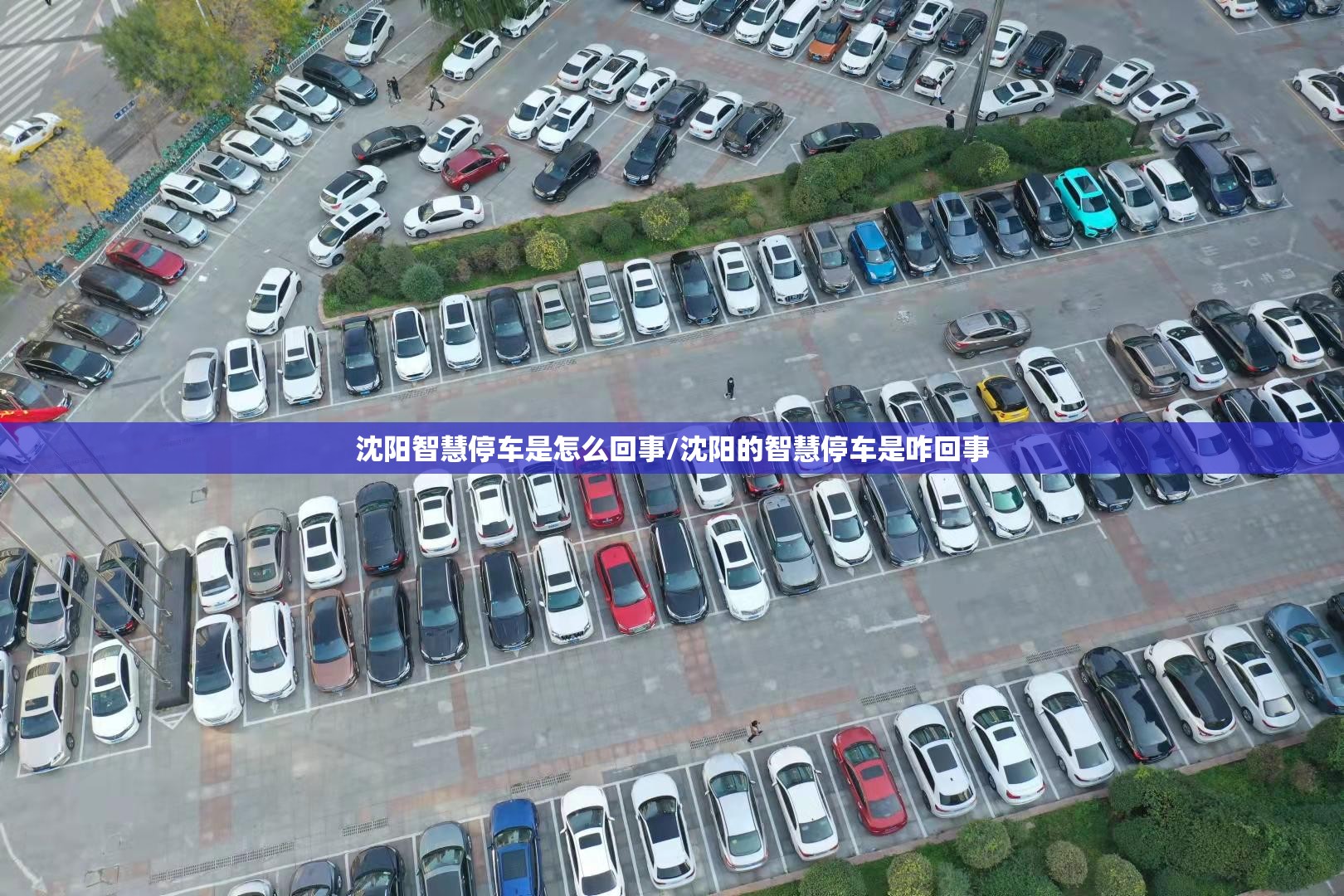 沈阳智慧停车是怎么回事/沈阳的智慧停车是咋回事
