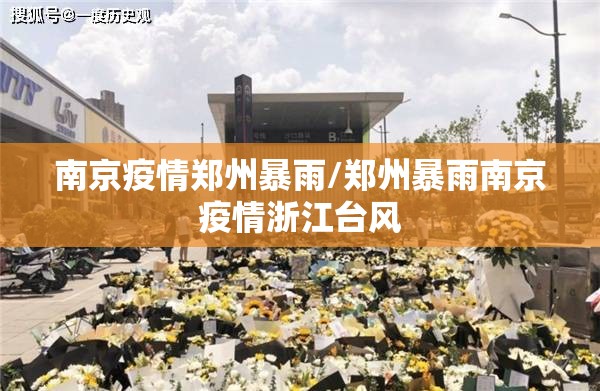 南京疫情郑州暴雨/郑州暴雨南京疫情浙江台风
