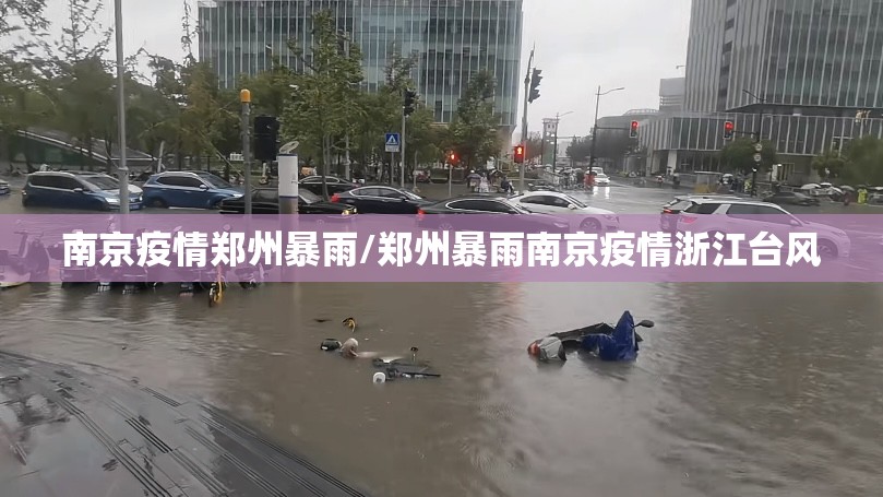 南京疫情郑州暴雨/郑州暴雨南京疫情浙江台风