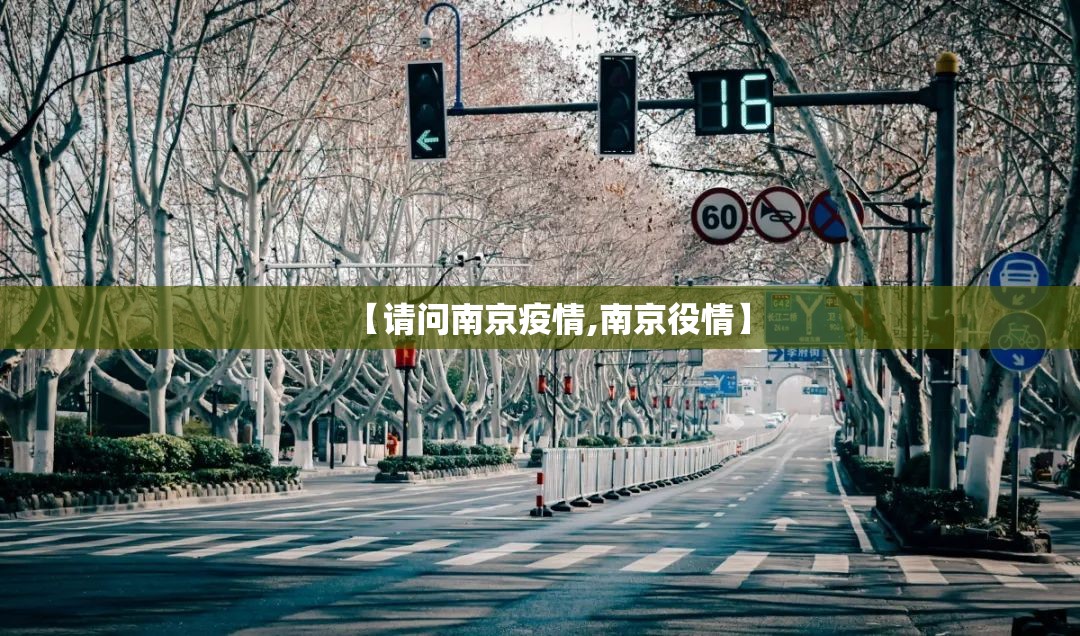 【请问南京疫情,南京役情】