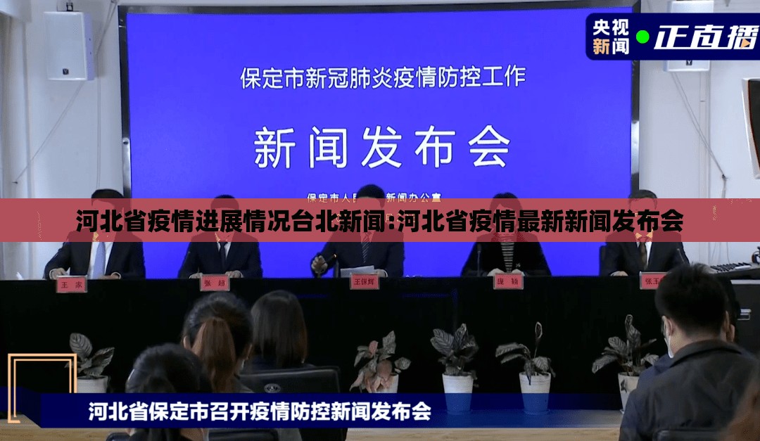 河北省疫情进展情况台北新闻:河北省疫情最新新闻发布会