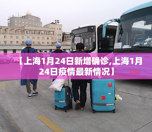 【上海1月24日新增确诊,上海1月24日疫情最新情况】