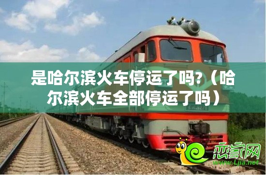 是哈尔滨火车停运了吗?（哈尔滨火车全部停运了吗）