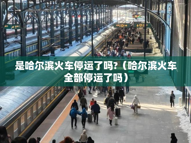 是哈尔滨火车停运了吗?（哈尔滨火车全部停运了吗）