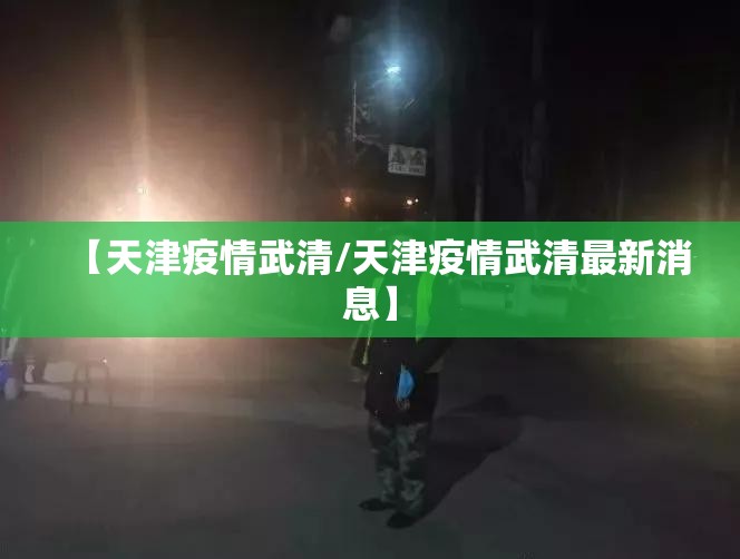 【天津疫情武清/天津疫情武清最新消息】