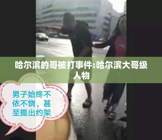 哈尔滨的哥被打事件:哈尔滨大哥级人物