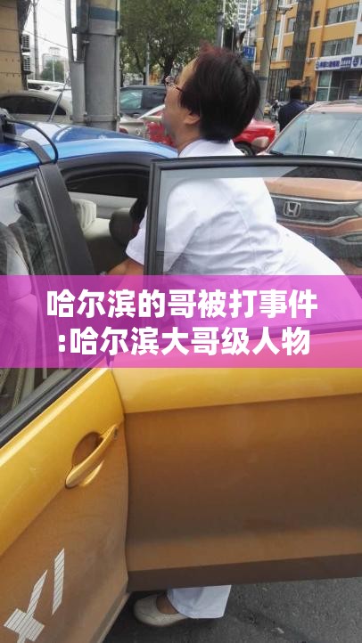 哈尔滨的哥被打事件:哈尔滨大哥级人物