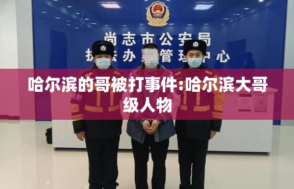 哈尔滨的哥被打事件:哈尔滨大哥级人物