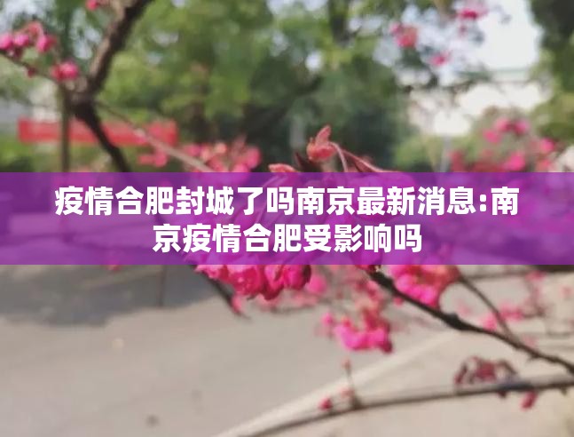 疫情合肥封城了吗南京最新消息:南京疫情合肥受影响吗