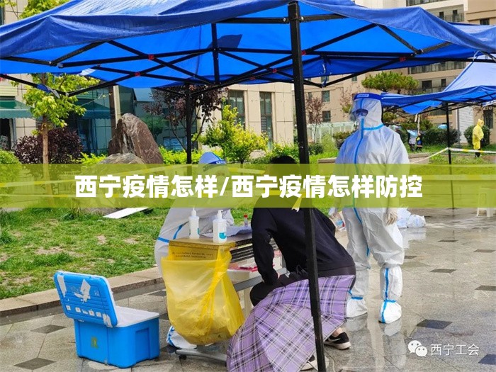 西宁疫情怎样/西宁疫情怎样防控